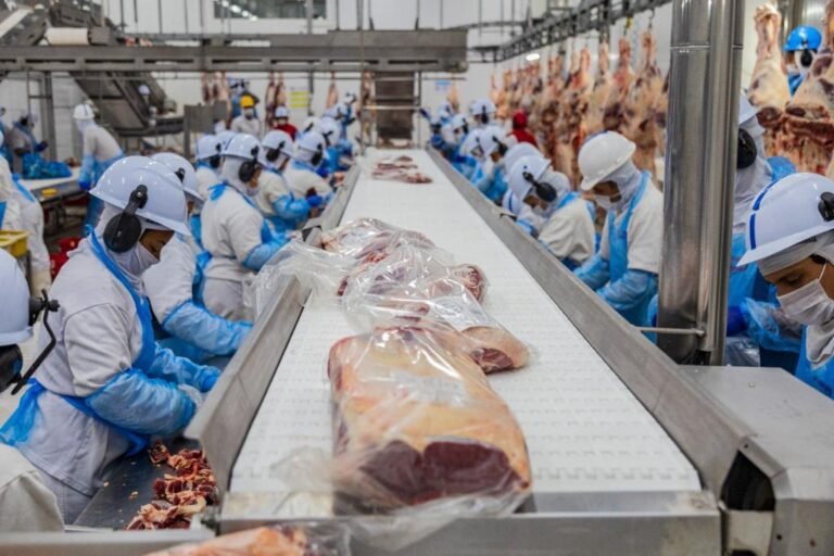 S O Gabriel Do Oeste Boibras Habilitado Para Exportar Carne Bovina