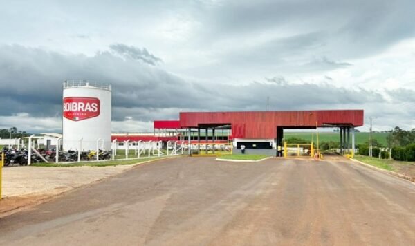 São Gabriel do Oeste: Boibras é habilitado para exportar carne bovina ...