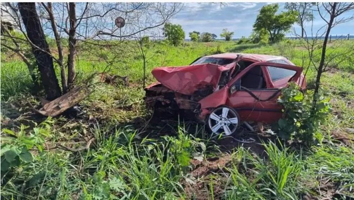 Carro bate em árvore