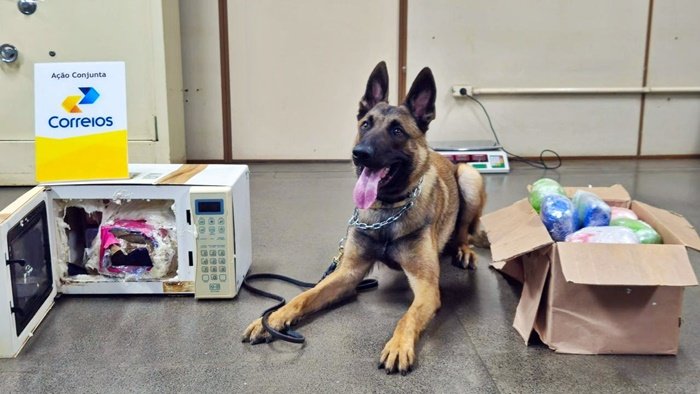 Apreensão de drogas Correios CG