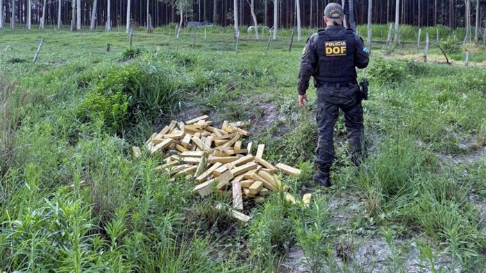 Droga apreendida DOF