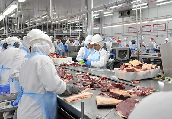 Industria Frigorífico