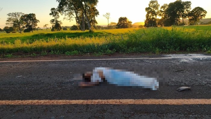 Atropelamento rodovia