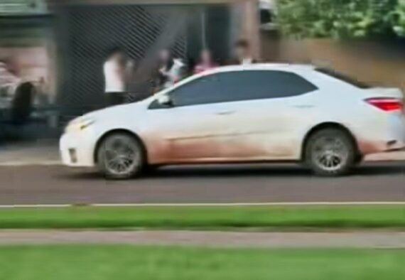 Corolla Cavalo de pau