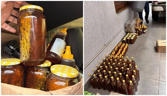 mel apreendido capa 1