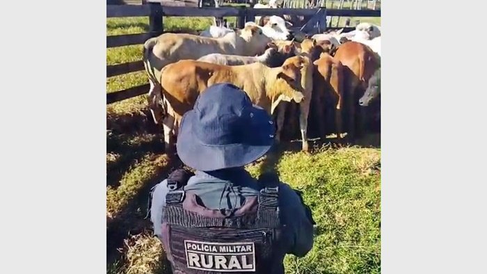 PMRural