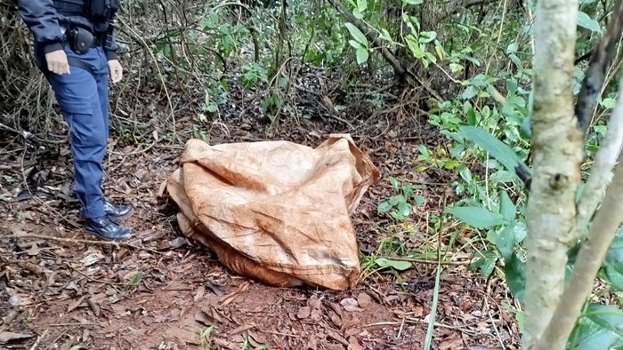 Idoso morto CG