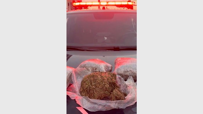 Droga apreendida Camapuã