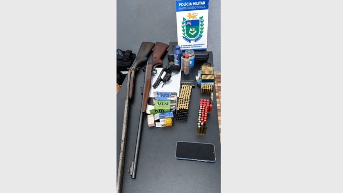 Armas e munições apreendidas SGO