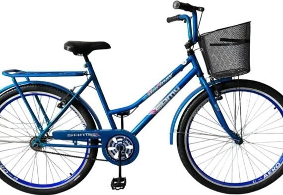 Bicicleta furatda