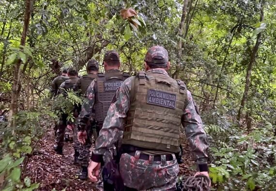 PMA Pantanal